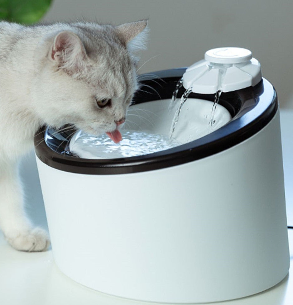 Smart Pet Water Dispenser | Automatic Circulating Filter Machine for Cats & Dogs