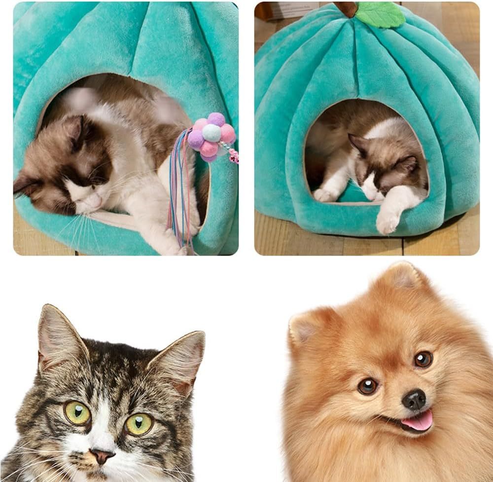 Halloween Themed Cat Supplies: Cute Pumpkin Shape Cat Tent Bed