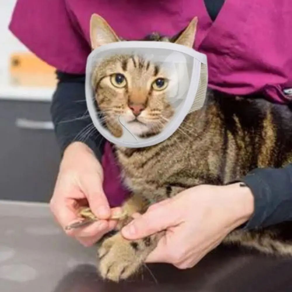 Adjustable Anti-Bite Pet Muzzle Mask | Breathable Tool for Puppy, Kitten, Cats, & Dogs