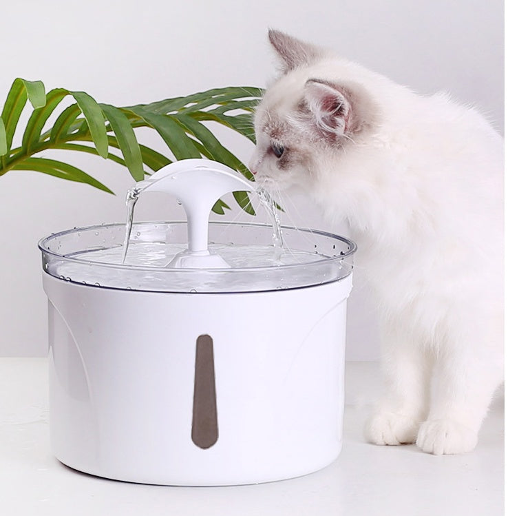 Smart Pet Water Fountain | Automatic Circulating Filtered Drink Dispenser